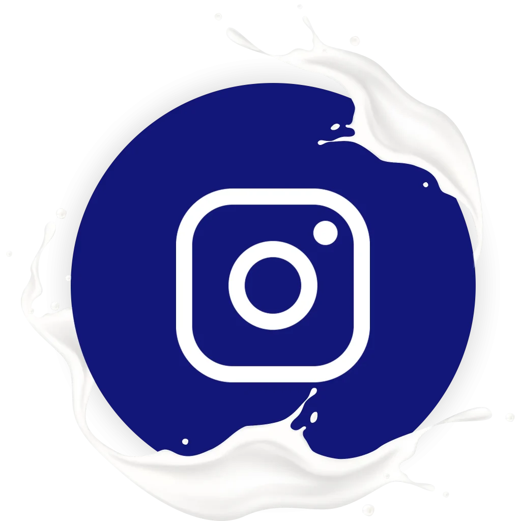 Instagram Icon